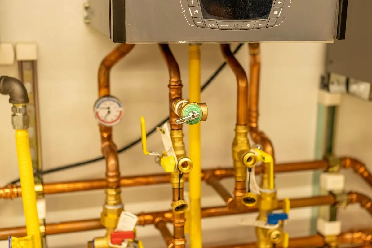 Licensed technician providing Emergency Plumbing for a homeowner in Raisinville